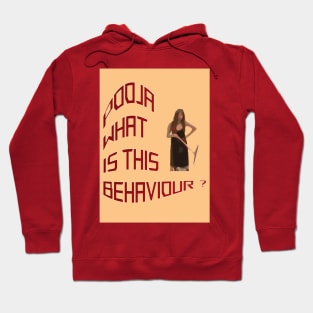 meme pooja what is this behaviour Hoodie